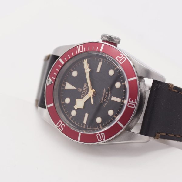 1601D. Tudor Black Bay 41 79230R 2020 LC100 (2)