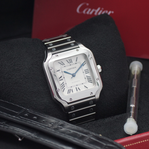 1737D. Cartier Santos Medium WSSA0010 Full Set 01-2020 (1)