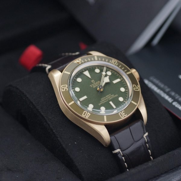 2882D-2 Tudor Black Bay 58 18k Yellow Gold 79018V (3)