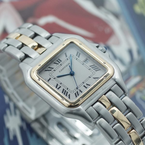 Cartier Panthere 183957 1995 [3688D-2] (1)